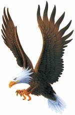 ironside's picture