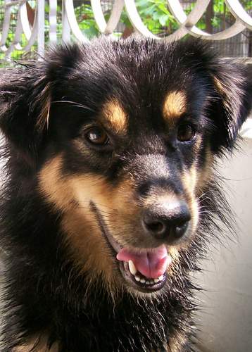 Althea's Profile Picture