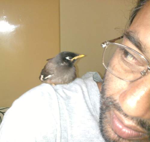 shakeelrzv2011's Profile Picture