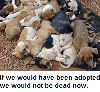 birds's Profile Picture
