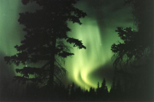 YukonMarty's picture