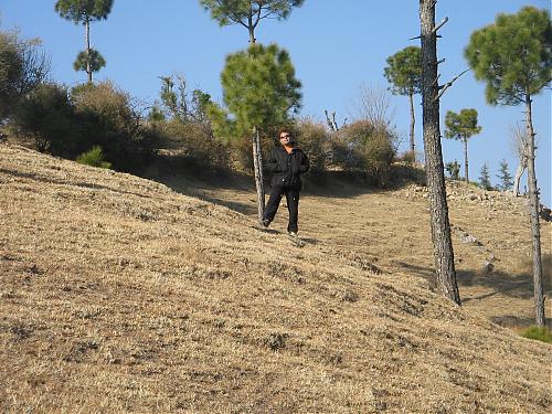 Tapan's picture