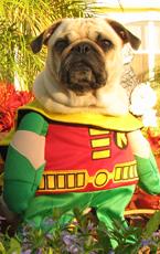 HolyToledoBatman!'s picture