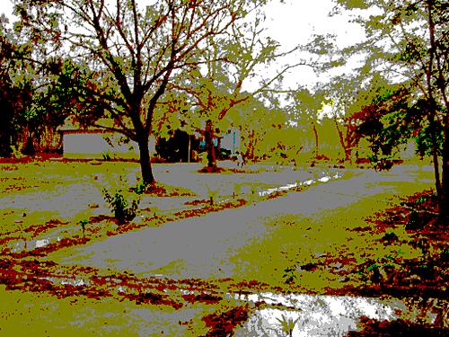 joseph10's picture