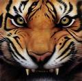 hsgogia's Profile Picture