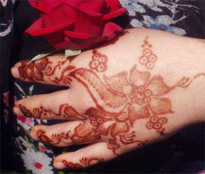 holikarang's picture