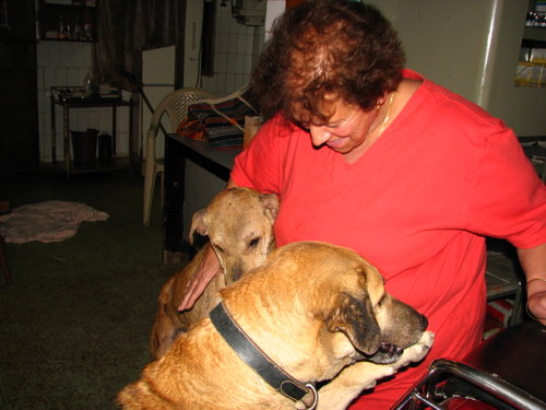 doggie do gooder's Profile Picture