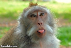 amyl's Profile Picture