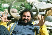tarbuspanda's Profile Picture