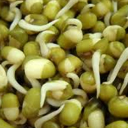 mungbean's Profile Picture