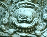 Muss's picture