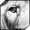Anchka's Avatar