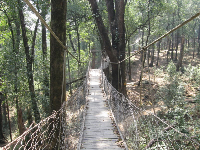 The Canopy Bridge India Travel Forum
