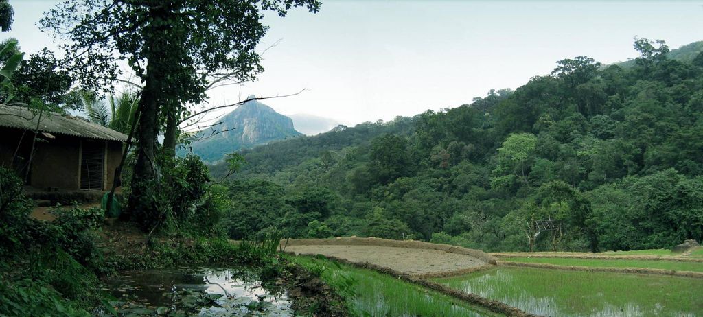 traditional--village---sri-lanka.preview.jpg