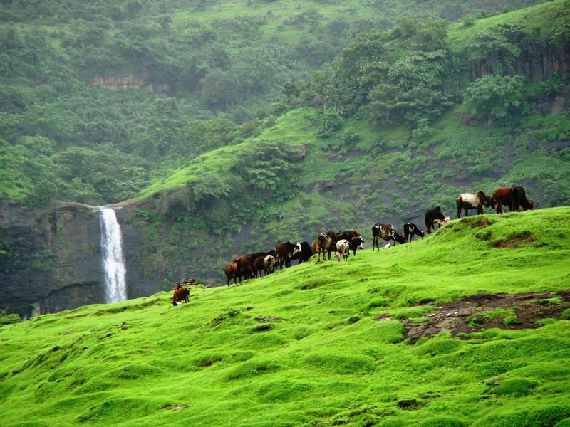 Kharghar India Travel Forum