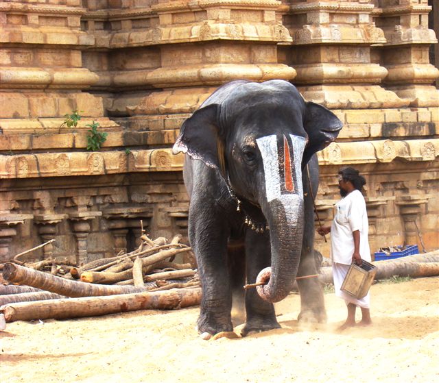 India Travel Forum IndiaMike com