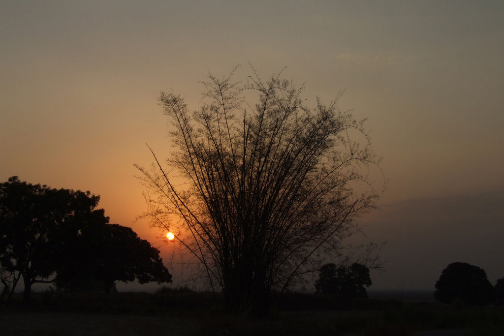 early morning at a village - India Travel Forum 
