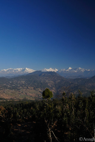 Должностная Инструкция Начальника Порта